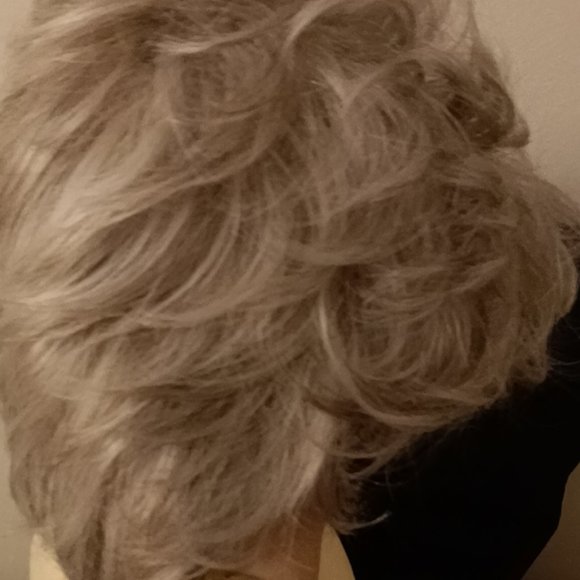 Paula Young Brand New Synthetic Silver Wig, Abby WhisperLite Petite - Picture 4 of 8